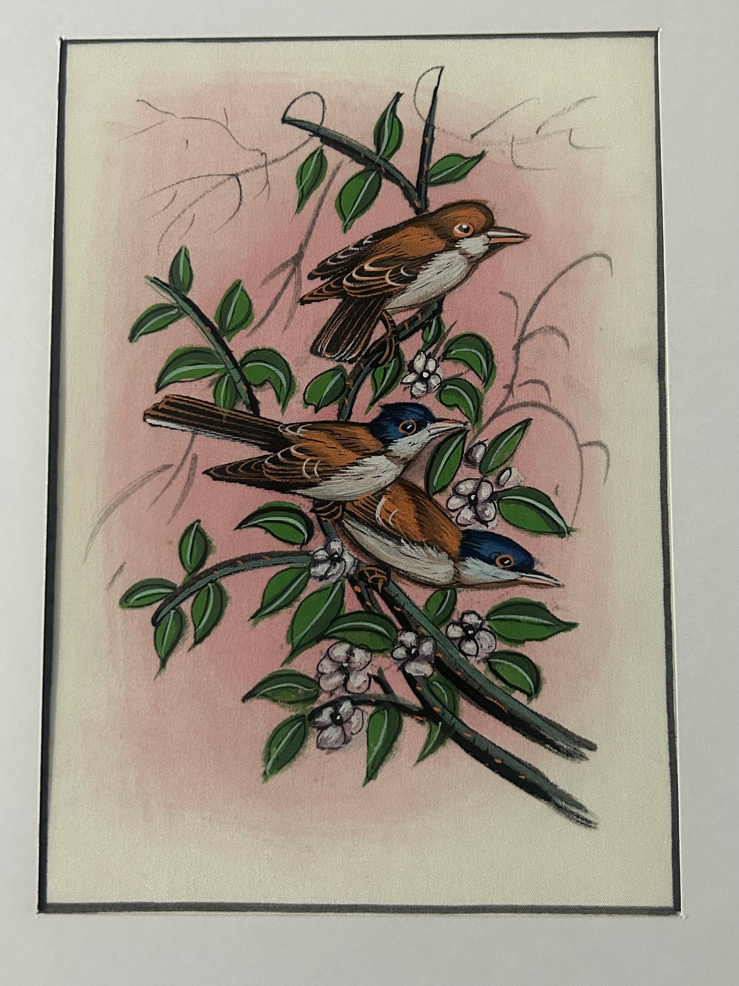 Traditional Indian bird miniature painting