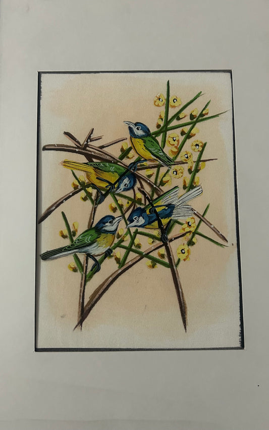 Traditional Indian bird miniature painting
